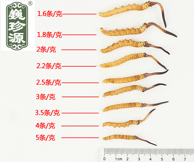 ���x(ch��ng)�Ĳ�,���x(ch��ng)�Ĳݵ�Ҏ(gu��)��