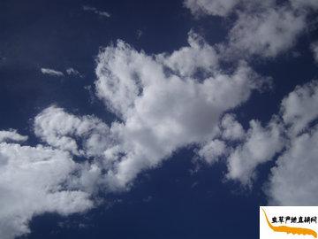 ���x�ĲݵĮa(ch��n)��-���������՚�ܝ���,��Ȼ�h(hu��n)���o(w��)��Ⱦ,���(y��u)�|(zh��)�������x�ݮa(ch��n)��